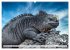 Drachen: Geheimnisvolles Tierreich... - Bild 4