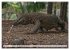 Drachen: Geheimnisvolles Tierreich... - Bild 6