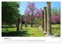 Von Olympia über Messene nach Mystras... - Bild 2