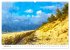 Polnische Ostseeküste - Gemalt von... - Bild 15