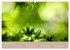 Fantastischer Frühling (Wandkalender... - Bild 3