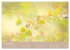 Fantastischer Frühling (Wandkalender... - Bild 4