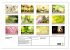 Fantastischer Frühling (Wandkalender... - Bild 6