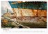 Gestrandet - Schiffswracks in der... - Bild 3