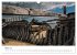 Gestrandet - Schiffswracks in der... - Bild 9