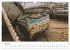 Gestrandet - Schiffswracks in der... - Bild 10