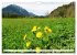 Das Graswangtal (Wandkalender 2026 DIN... - Bild 13