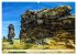 Harzer Teufelsmauer - Juniwanderung... - Bild 5
