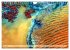 Sensationelle Bilder Unserer Erde... - Bild 12