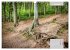 Der Odenwald und das Felsenmeer... - Bild 12