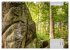 Der Odenwald und das Felsenmeer... - Bild 13