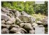 Der Odenwald und das Felsenmeer... - Bild 15
