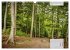 Der Odenwald und das Felsenmeer... - Bild 9