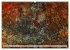 Sensationelle Bilder Unserer Erde -... - Bild 2