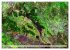 Sensationelle Bilder Unserer Erde -... - Bild 3