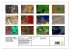 Sensationelle Bilder Unserer Erde -... - Bild 5
