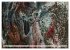 Sensationelle Bilder Unserer Erde -... - Bild 6