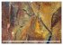 Sensationelle Bilder Unserer Erde -... - Bild 7