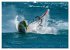 Surfparadies Urnersee (Wandkalender... - Bild 5