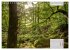Der Odenwald und das Felsenmeer... - Bild 14