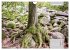 Der Odenwald und das Felsenmeer... - Bild 3