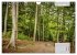 Der Odenwald und das Felsenmeer... - Bild 9