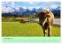 Zauber der Alpen (Wandkalender 2026 DIN... - Bild 4
