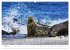 Nordseeinsel Helgoland - Ansichten der... - Bild 7