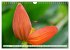 Asiatische Blumenpracht (Wandkalender... - Bild 14