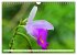 Asiatische Blumenpracht (Wandkalender... - Bild 3