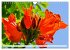 Asiatische Blumenpracht (Wandkalender... - Bild 5