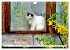 Katzen in Cranz (Wandkalender 2026 DIN... - Bild 12