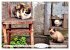 Katzen in Cranz (Wandkalender 2026 DIN... - Bild 14