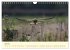 Im Revier der Falken (Wandkalender 2026... - Bild 13