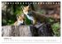 Rotfuchswelpen (Tischkalender 2026 DIN... - Bild 3