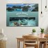 Raja Ampat - Impressionen (Wandkalender... - Bild 2