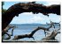 Raja Ampat - Impressionen (Wandkalender... - Bild 11
