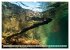 Raja Ampat - Impressionen (Wandkalender... - Bild 15