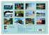 Raja Ampat - Impressionen (Wandkalender... - Bild 6