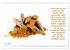 Gewürze: Gesund & Lecker (Wandkalender... - Bild 11