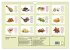 Gewürze: Gesund & Lecker (Wandkalender... - Bild 6