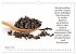 Gewürze: Gesund & Lecker (Wandkalender... - Bild 8