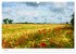 Mein Havelland - Impressionen der... - Bild 12
