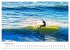 Surfer an der Côte de Lumière... - Bild 8