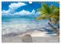 Karibik Traum Isla Saona (Wandkalender... - Bild 13