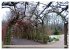 Im Park von Sanssouci - Spaziergang... - Bild 3