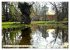Im Park von Sanssouci - Spaziergang... - Bild 8