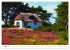 Hiddensee - Malerische Insel der Ostsee... - Bild 14