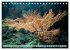 Raja Ampat - Impressionen... - Bild 10