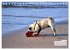 Ostsee-Hunde - Zweibeiner und... - Bild 11
